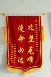 榮獲“邯鄲孔雀城項目”集團授予錦旗